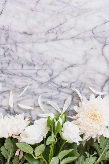 white-flowers-marble-tabletop_23-2148029591.jpg