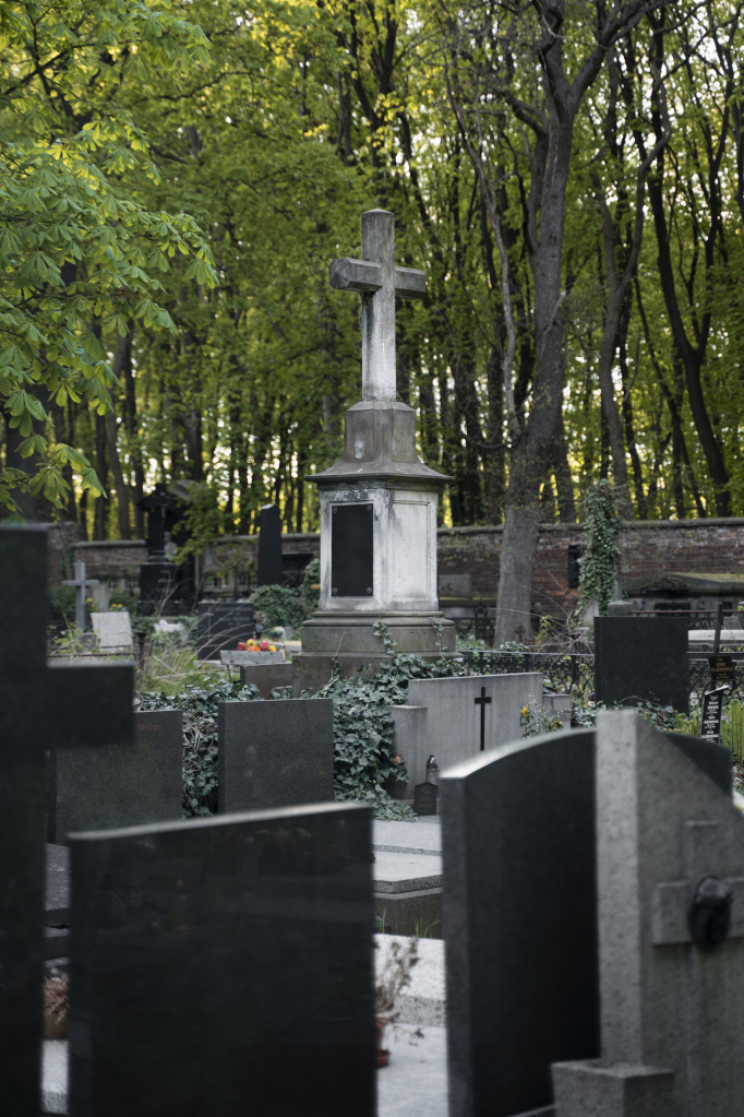 view-cemetery-with-tombstones.jpg